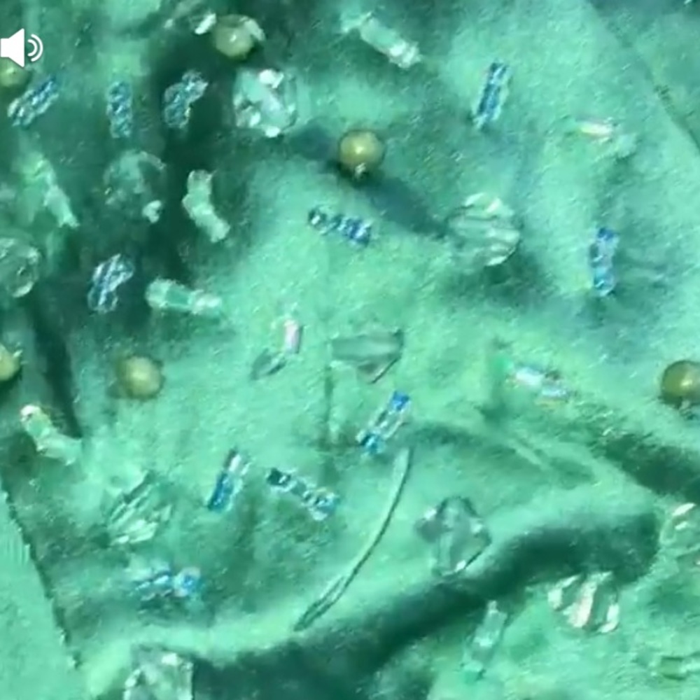 Bebe Tank Top - Picture 5 of 6